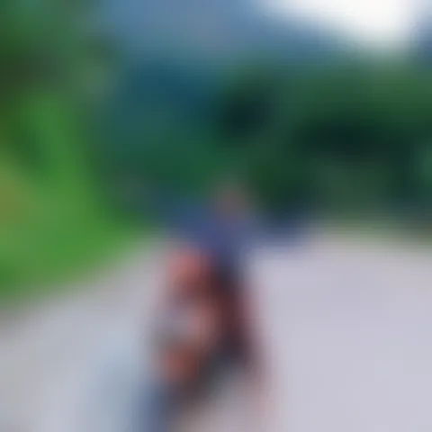 G*******l
