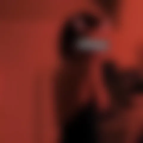 B***n