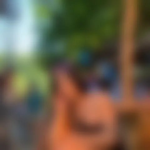 D**********n