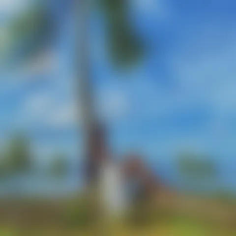 Y****************y