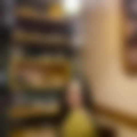 T********n
