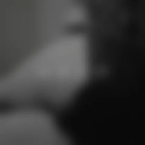 M********s