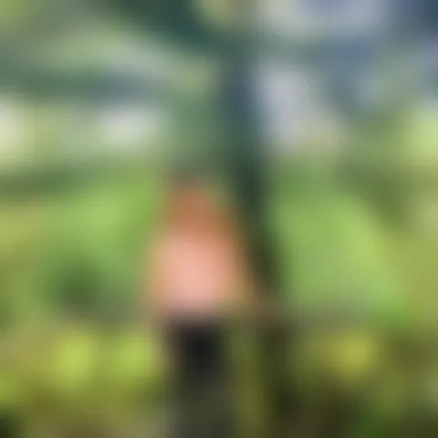 H****r