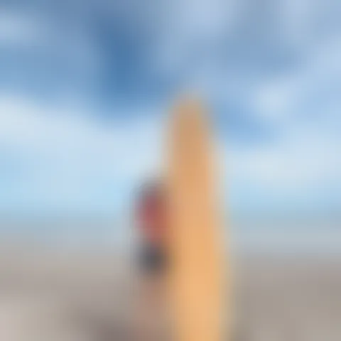 V*******a