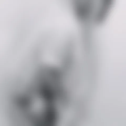 P********e