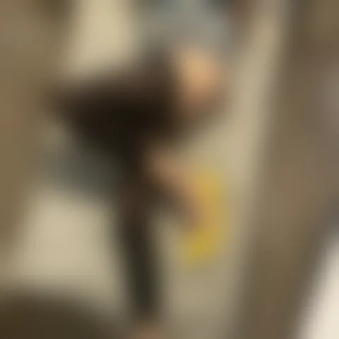 B************y
