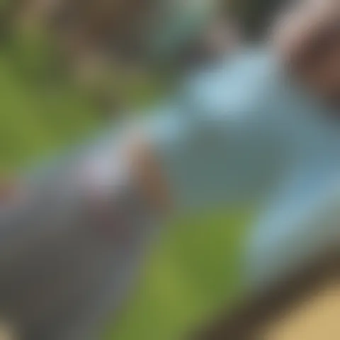 K******a