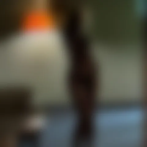 J*****a