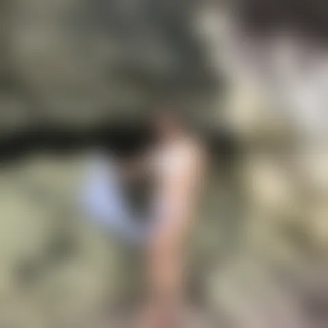 J*****r