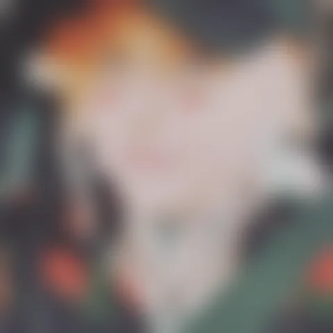 A************e