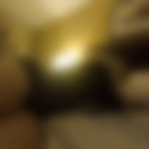 T*********e