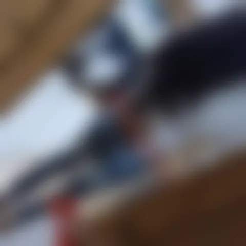 J***i
