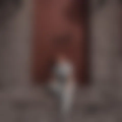 C*******e