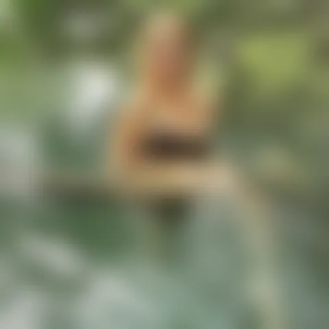 S**n
