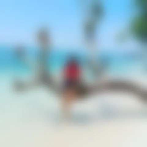C*******e