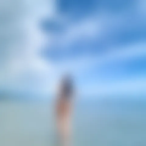 S****e