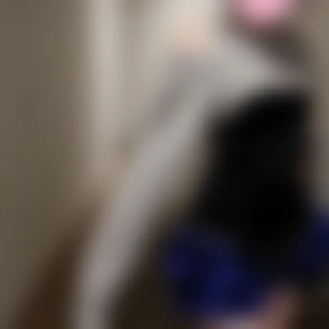 L******i