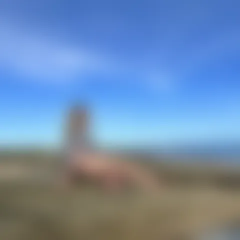 N******a