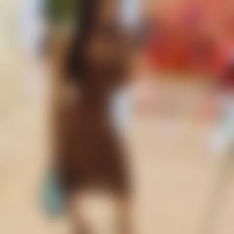 W***y