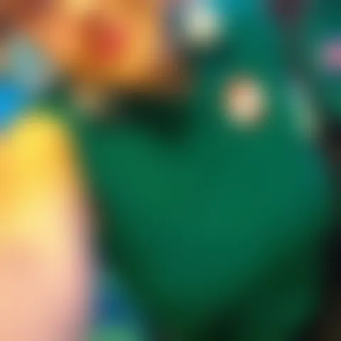 S************n