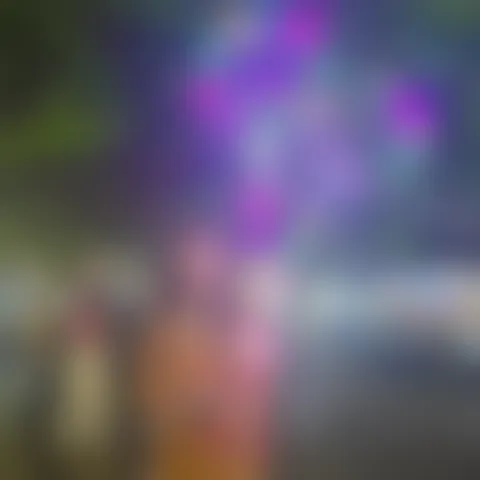 S*******b