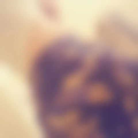 O******a