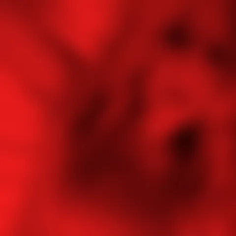 P*******a