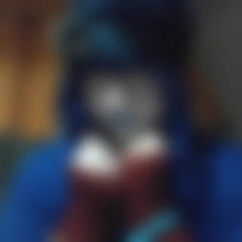 R***n