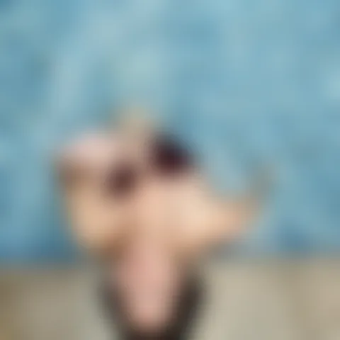 K*******y