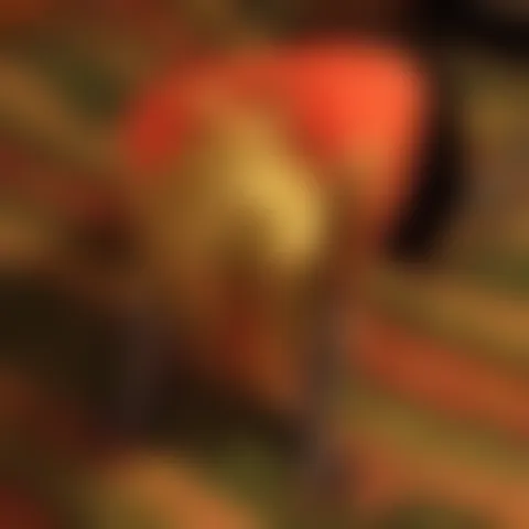 L***s