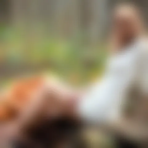 C***********s