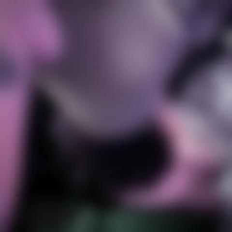P*************r
