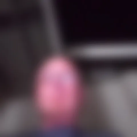 B*******r