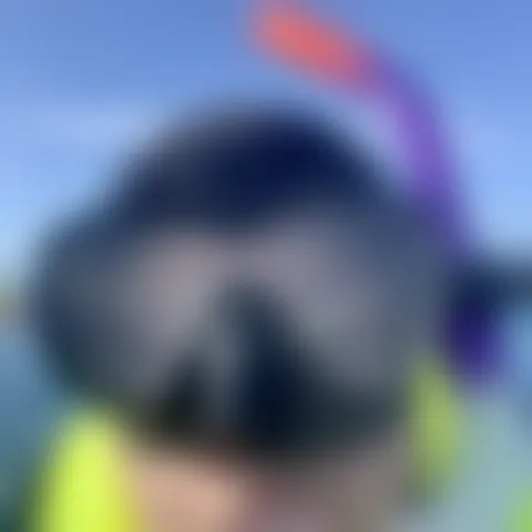 A**a