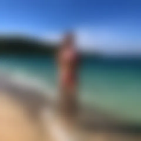 A*********e