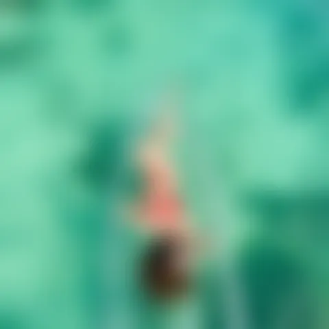 K******a