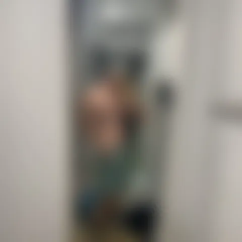 S*******l