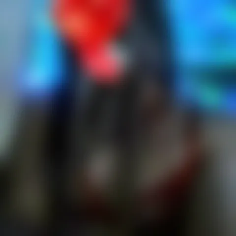 J*****a
