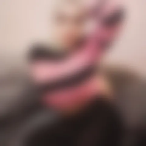 S************q