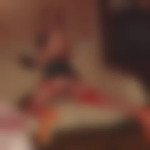 M*********l