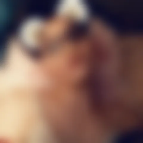 I****a