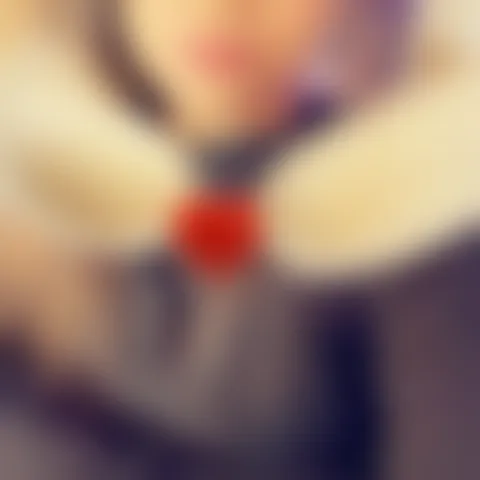 F************r