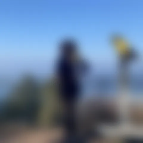 T******t
