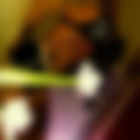 L******e