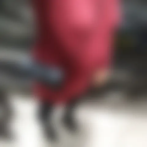 T*******a