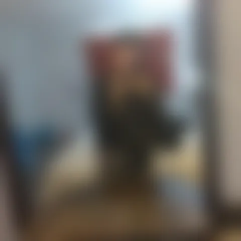C***i