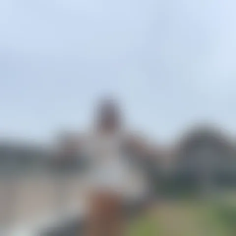 S*********a