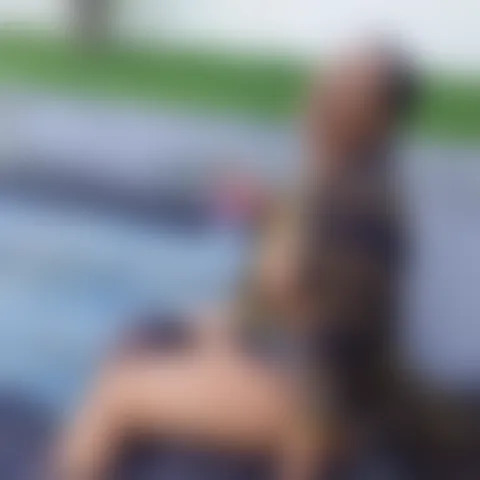 D******n