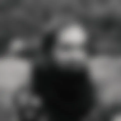 S*****a