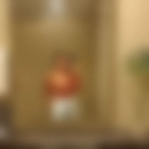 B**********a
